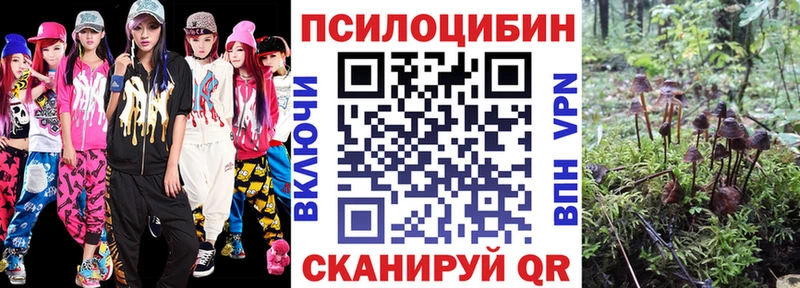 Купить где  Обнинск  Псилоцибиновые грибы мицелий 